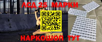 индика Обь