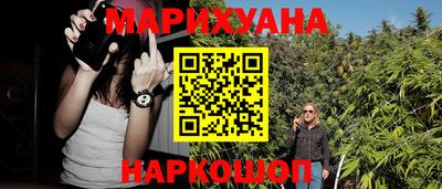 индика Обь