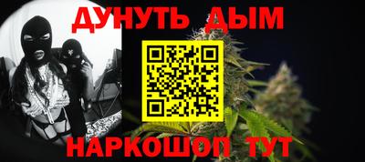 индика Обь