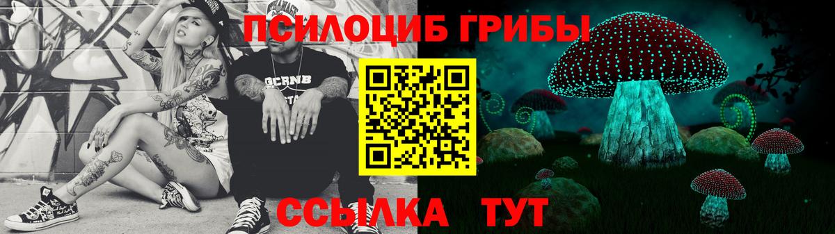 Ржев  Галлюциногенные грибы Psilocybe  Вход с VPN 